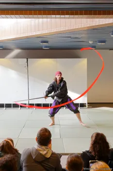 Copyright : Vincent Folliard